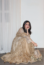 Load image into Gallery viewer, MOHSIN NAVEED RANJHA | ZARLISH MAKHFI 25 | ROSHNI