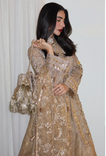 Load image into Gallery viewer, MOHSIN NAVEED RANJHA | ZARLISH MAKHFI 25 | ROSHNI