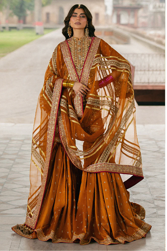 MOHSIN NAVEED RANJHA | ZARLISH MAKHFI 25 | RANJISH