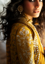 Load image into Gallery viewer, SAAD BIN SHAHZAD | SILK 25 | AMINA