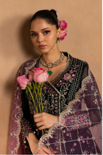 Load image into Gallery viewer, RANGRASIYA | CHIFFON | SOFIA