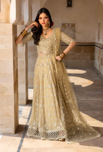 Load image into Gallery viewer, RANGRASIYA | CHIFFON | ZAIENA