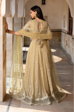 Load image into Gallery viewer, RANGRASIYA | CHIFFON | ZAIENA