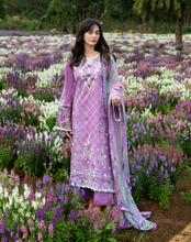 Load image into Gallery viewer, MUSHQ | SECRET GARDEN 26 | SECRET THICKET