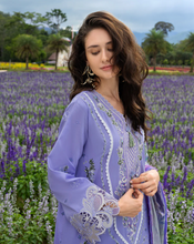 Load image into Gallery viewer, MUSHQ | SECRET GARDEN 26 | DAISY REVERIE