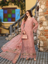 Load image into Gallery viewer, NOOR  | LUXE CHIKANKARI 26  | 8B PETAL PINK