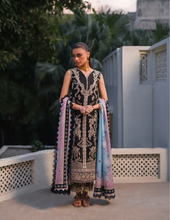 Load image into Gallery viewer, BIN ILYAS  |  HERITAGE DORE | 1B