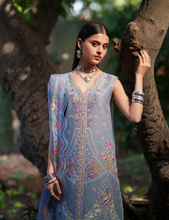 Load image into Gallery viewer, BIN ILYAS  |  HERITAGE DORE | 2A
