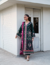 Load image into Gallery viewer, BIN ILYAS  |  HERITAGE DORE | 4B