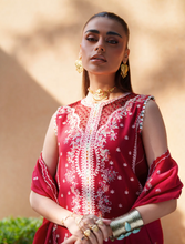 Load image into Gallery viewer, BIN ILYAS  |  HERITAGE DORE | 6A