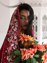 Load image into Gallery viewer, HUSSAIN REHAR | LUXURY LAWN  26 | KASTANAA