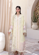 Load image into Gallery viewer, QALAMKAR | CHIKANKARI PRET 26 | DAWN