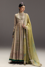 Load image into Gallery viewer, ZARA SHAHJAHAN | ANARKALI 26 | HOORAIN D8