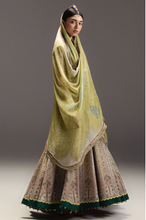 Load image into Gallery viewer, ZARA SHAHJAHAN | ANARKALI 26 | HOORAIN D8
