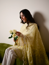Load image into Gallery viewer, ZAIB |  EID UL ADHA LAWN | LAYLA