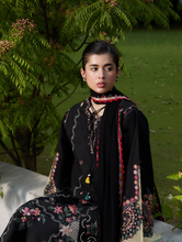 Load image into Gallery viewer, HUSSAIN REHAR | PRET II 26 | MESHKI