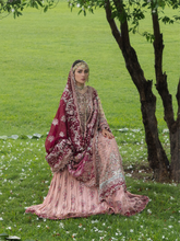 Load image into Gallery viewer, HUSSAIN REHAR | FESTIVE 26 | GULRUKH