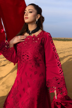 Load image into Gallery viewer, RANGRASIYA | CARNATION LAWN 26 | RAMEEN