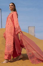 Load image into Gallery viewer, RANGRASIYA | CARNATION LAWN 26 | ELNAZ